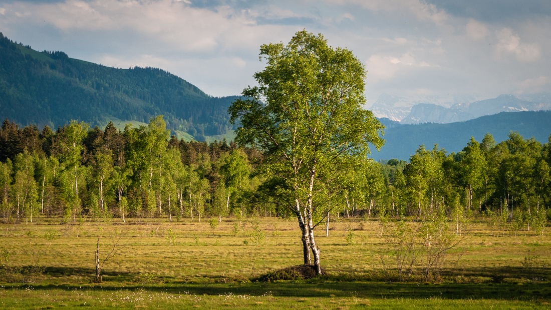 SLIDER_1100x619_Natur_090519_CHH5591_PROV